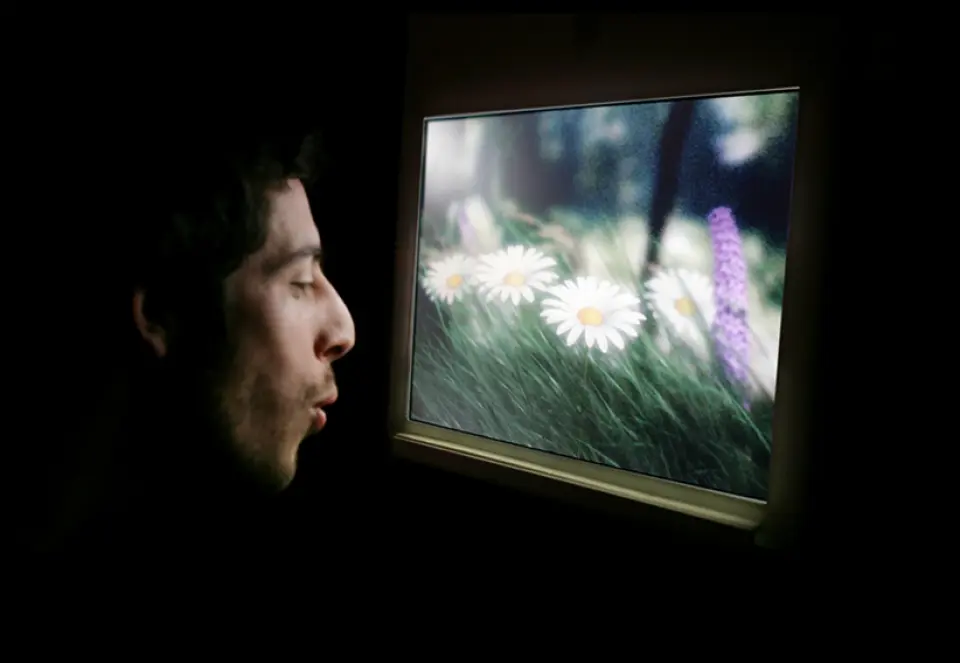 Man blowing on a screen that shows daisies being blown away